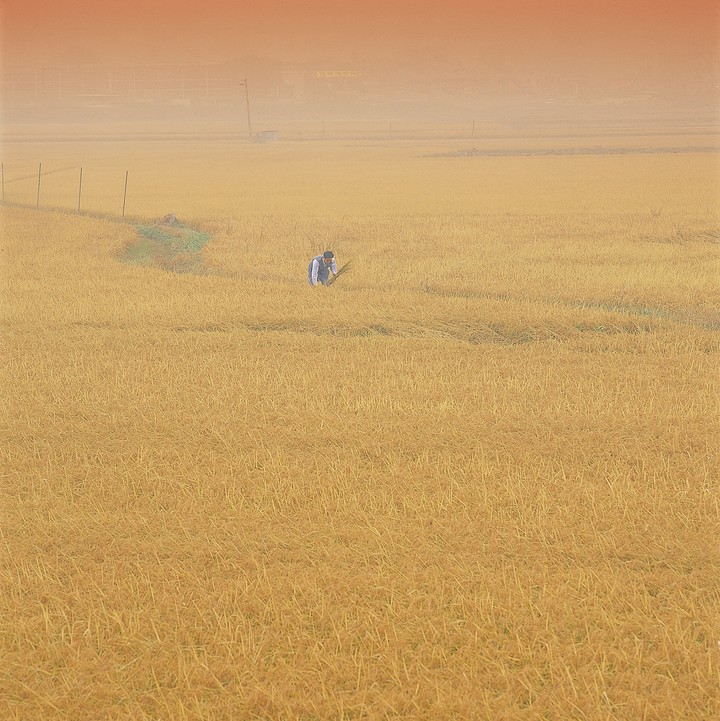 한국전통이미지