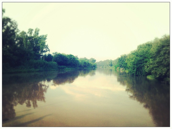 Nature