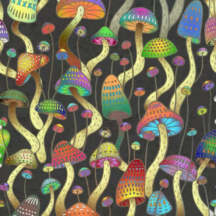 mushroom mushboom