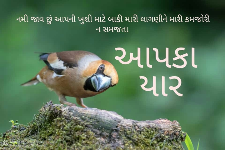 Aapka yar