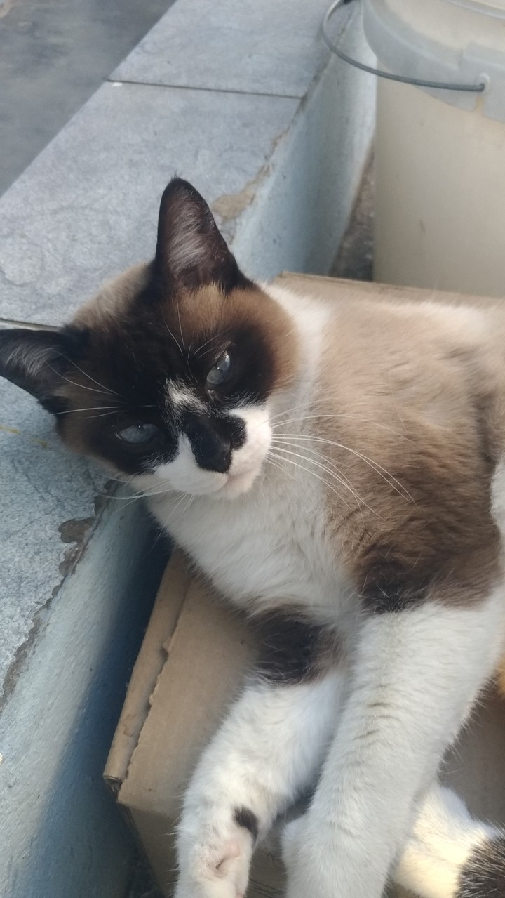 Max♥️