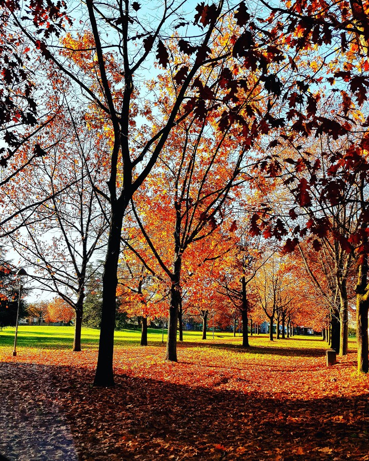 Autunno al parco