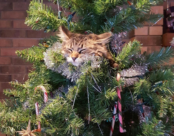 ^_^