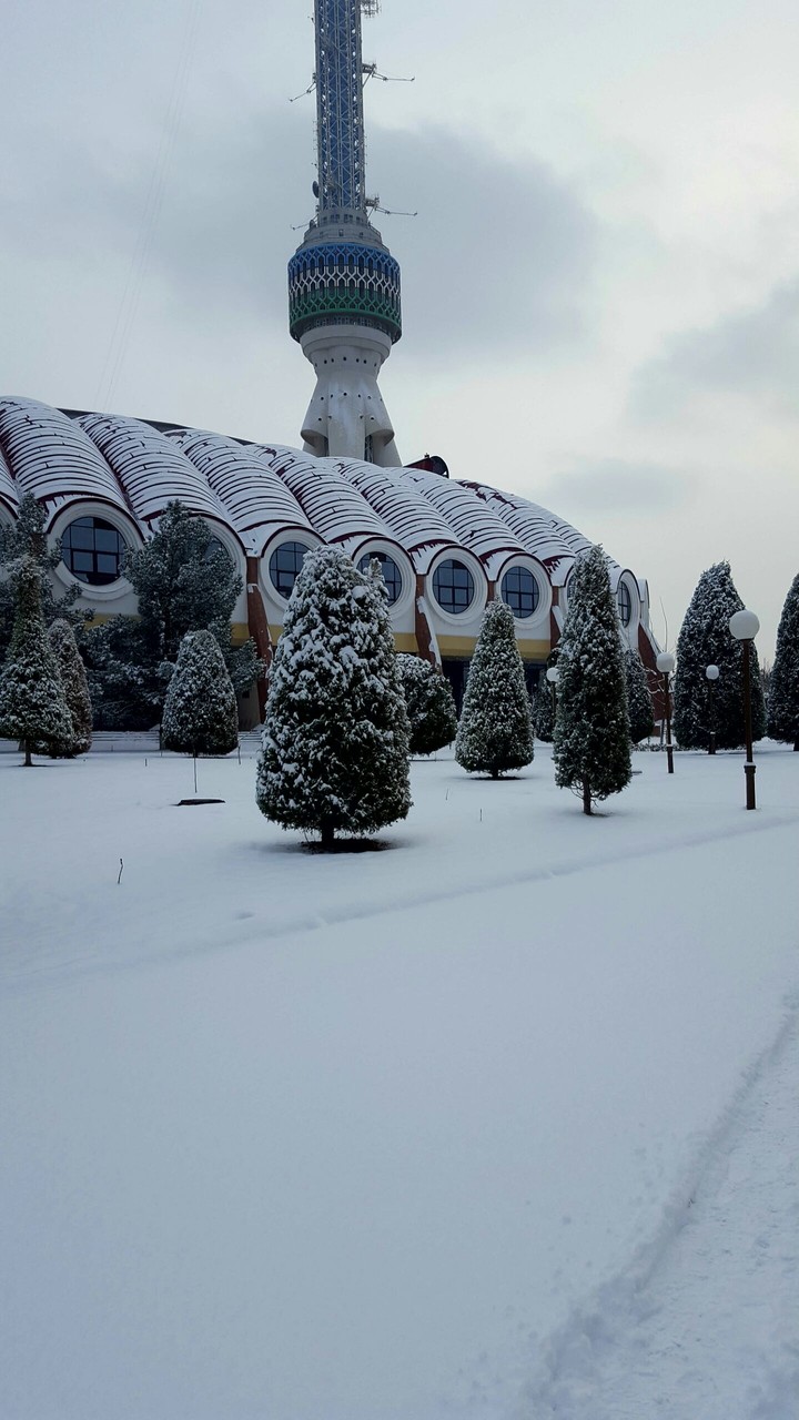 Winter in Tashkent