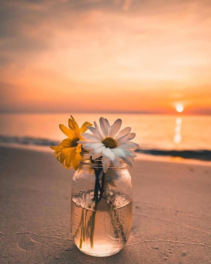 Sunset beauty♡