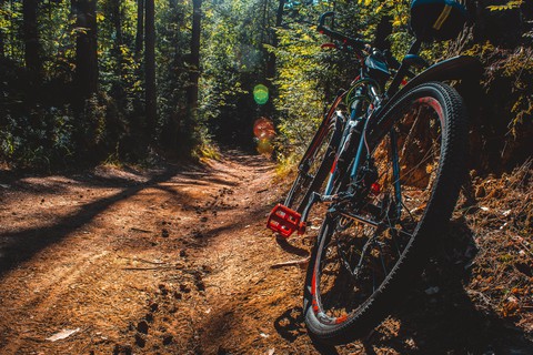 mtb, bycycle Hintergrundbilder