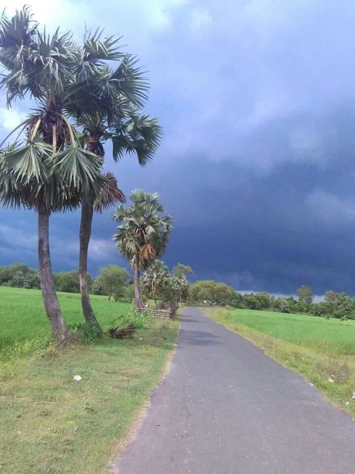 Village Roadside