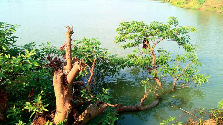 beauty of nature.........