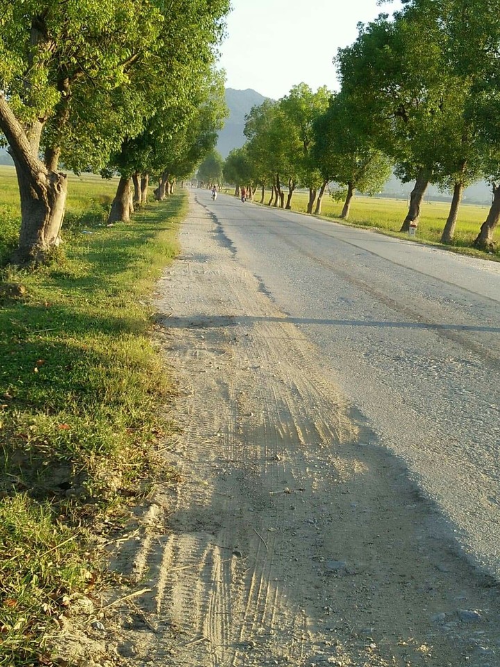Street
