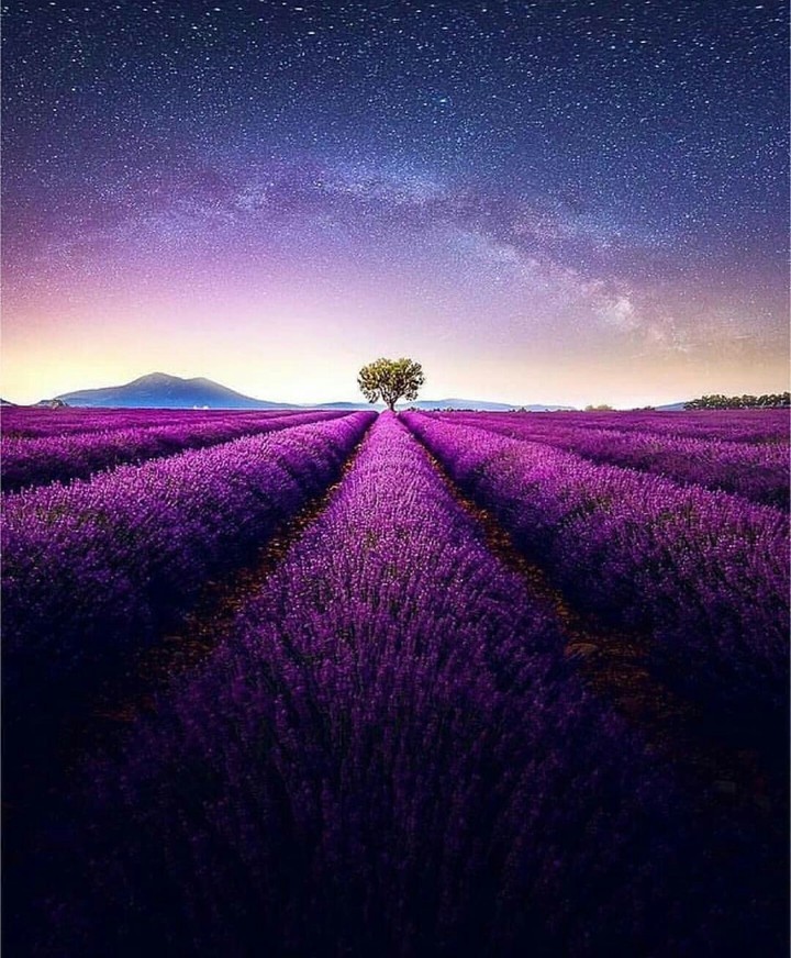 Beautiful...