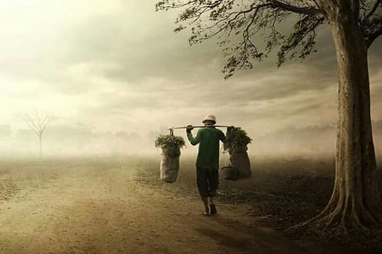the beauty of Indonesia's nature