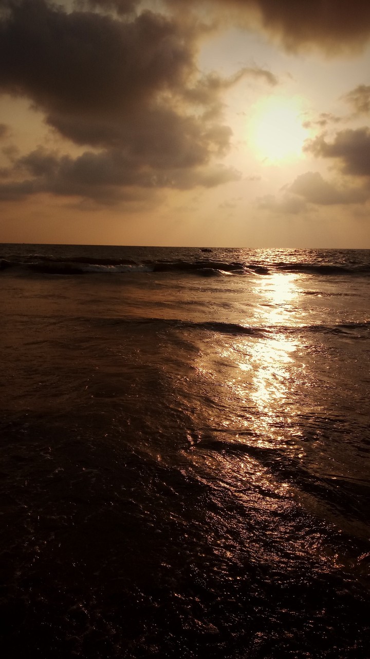seashore