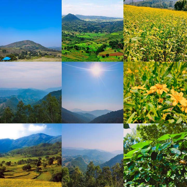 Andhra ooty.. (Araku valley)