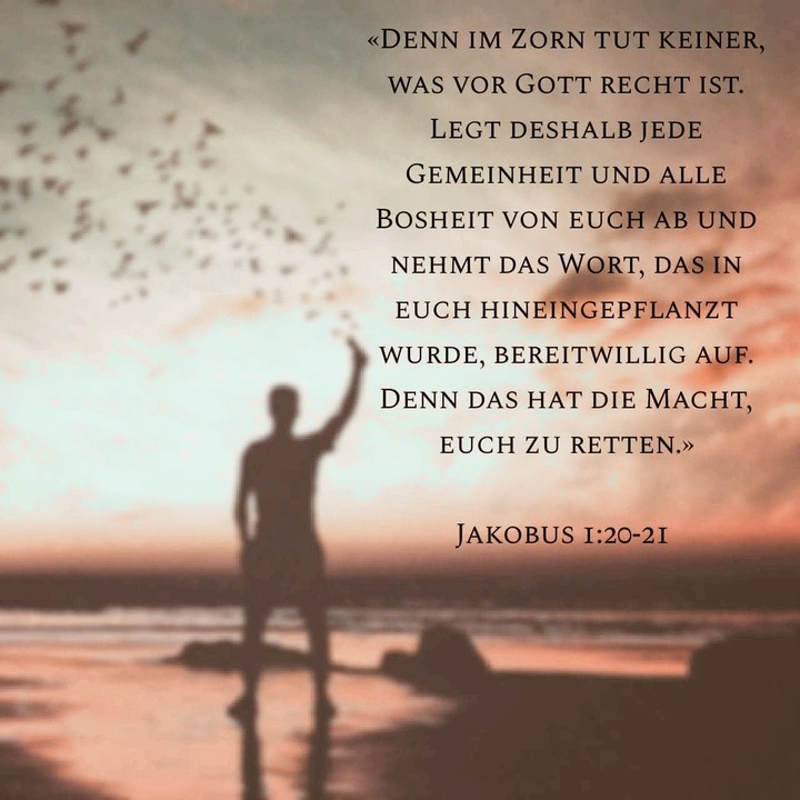 Bibel - Jakobus 1.20-21