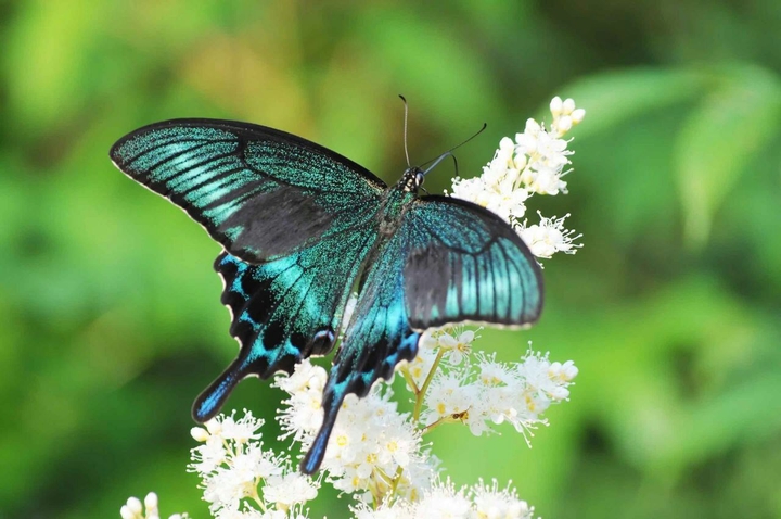 Take care of beautiful nature
