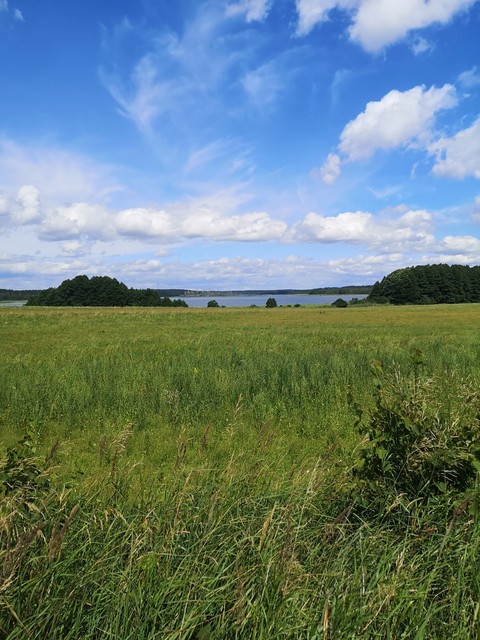 Mazury