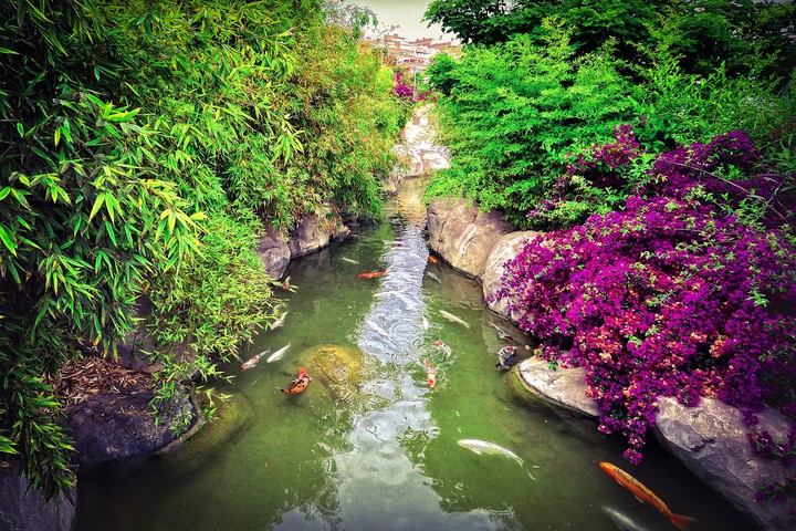 nature