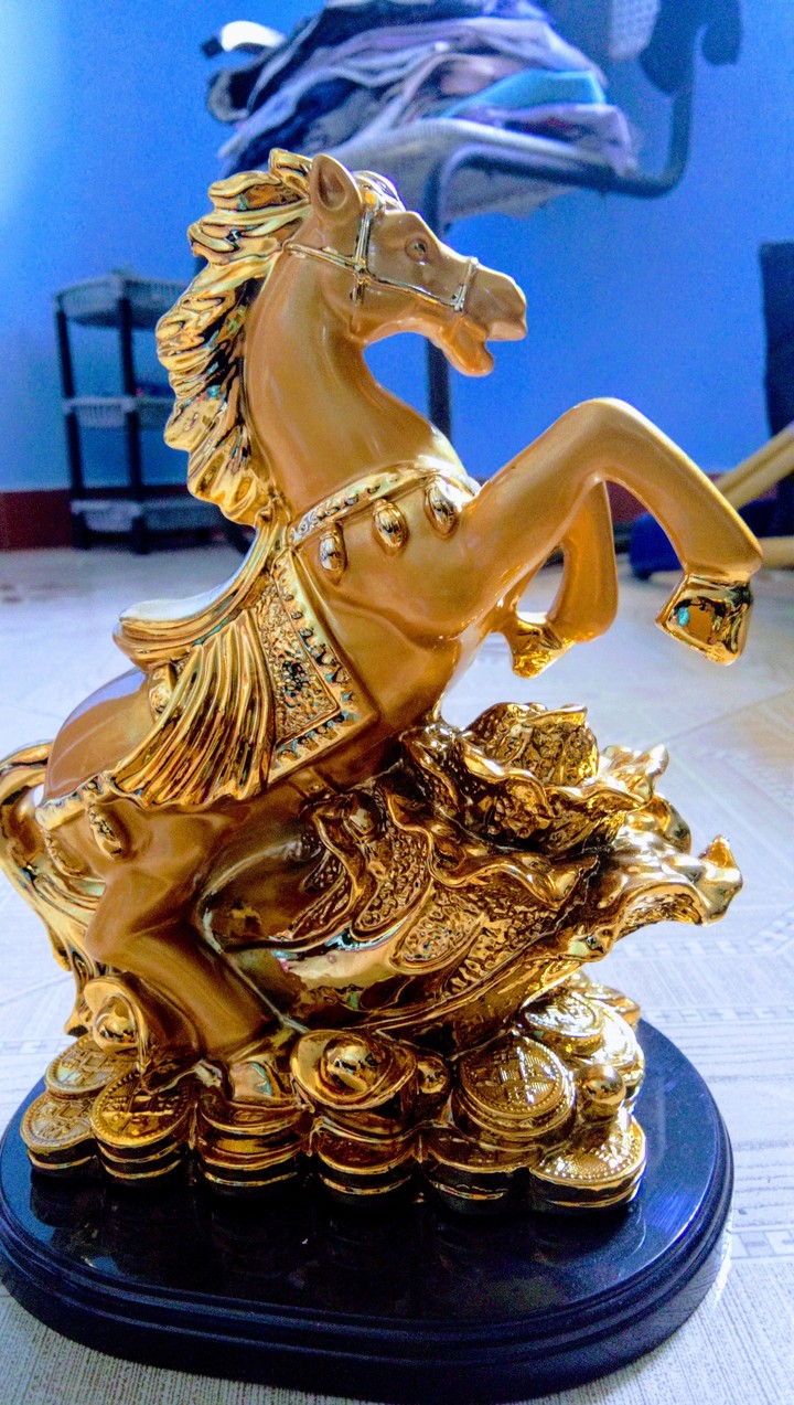 horse