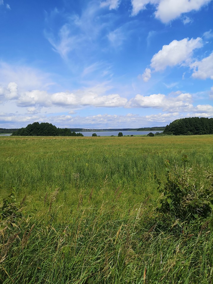 Mazury