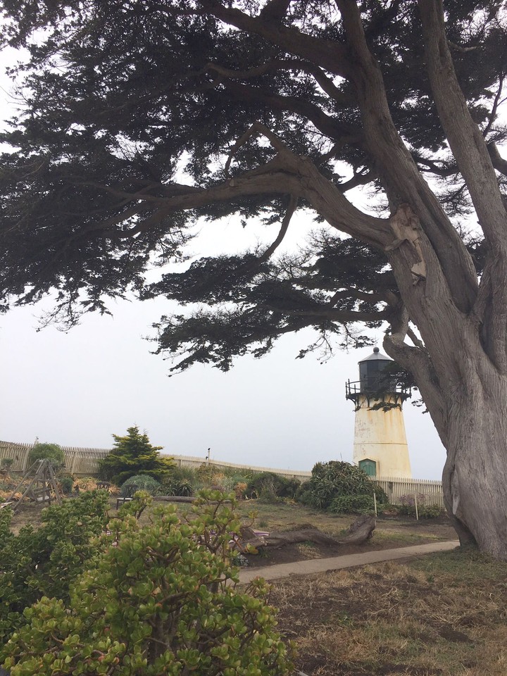 a lighthouse