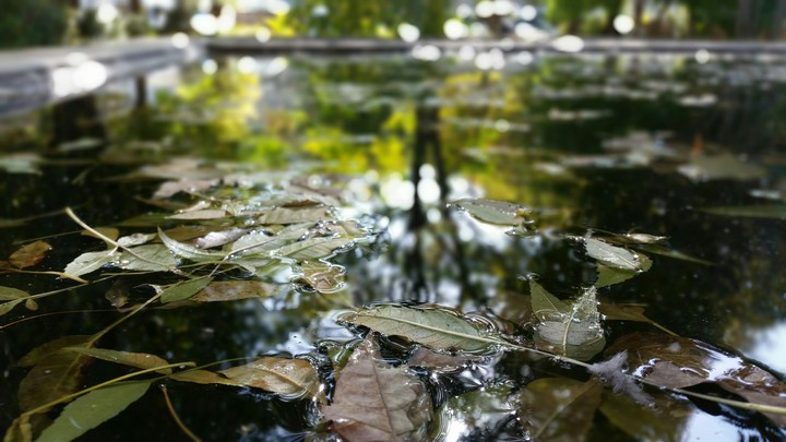 REFLECTION