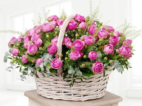Flovers