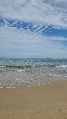 바다