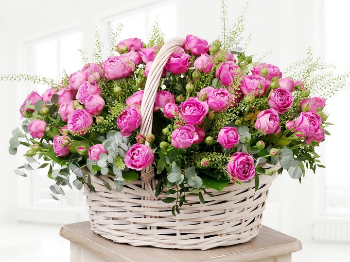 Flovers