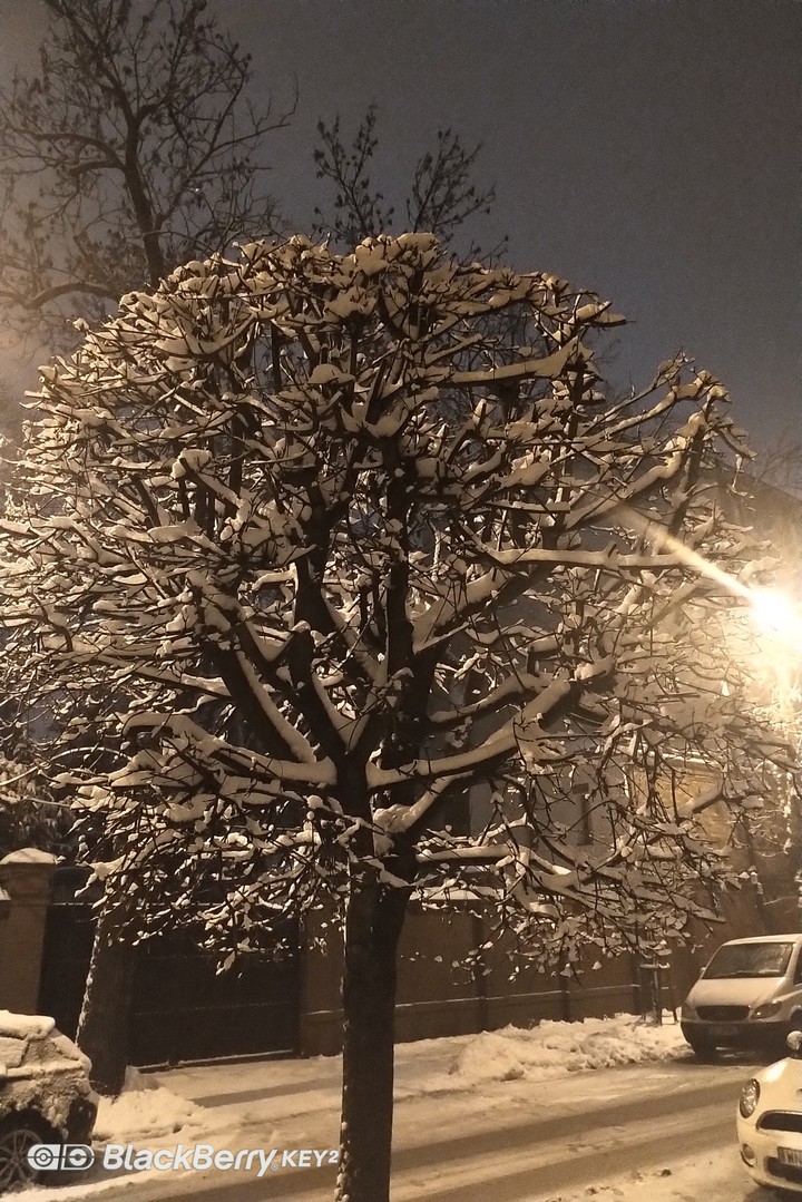 winter