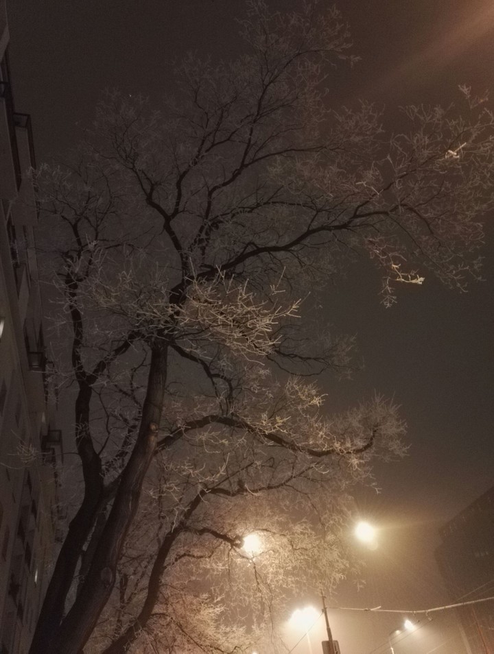 cold three in Bratislava