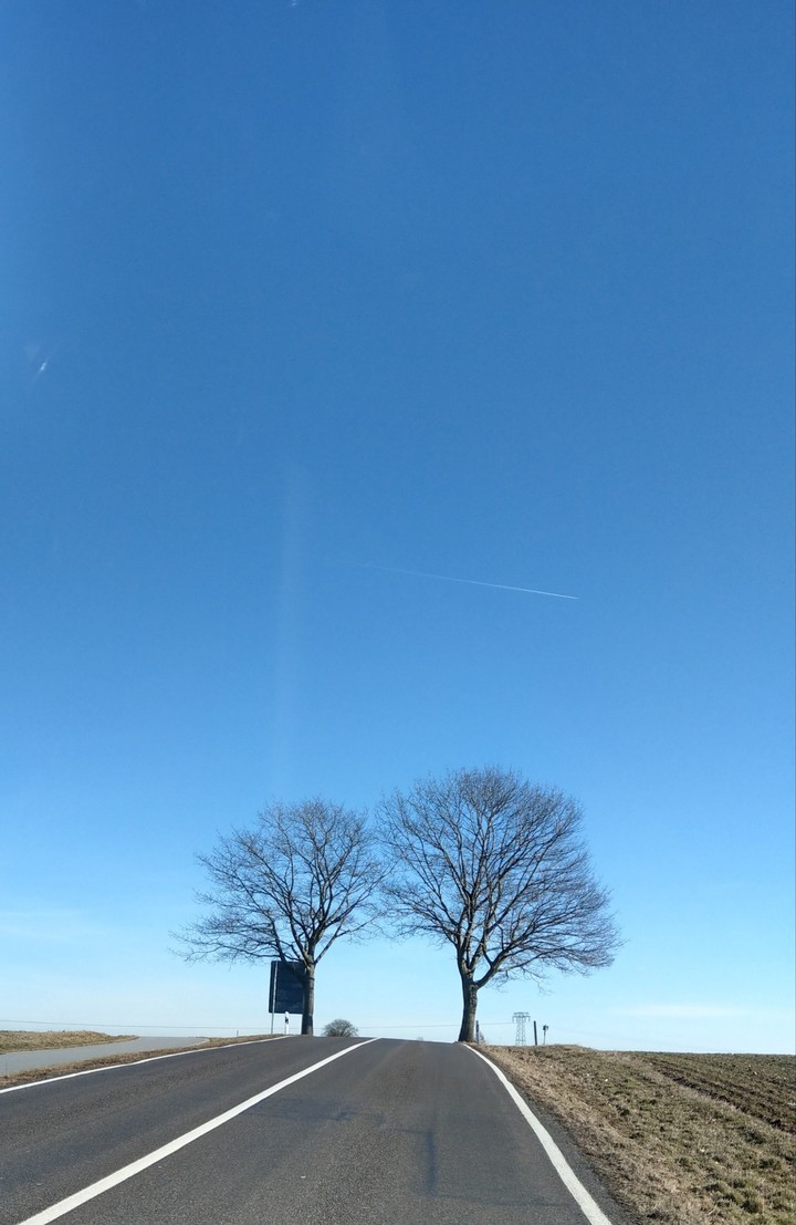 Baum