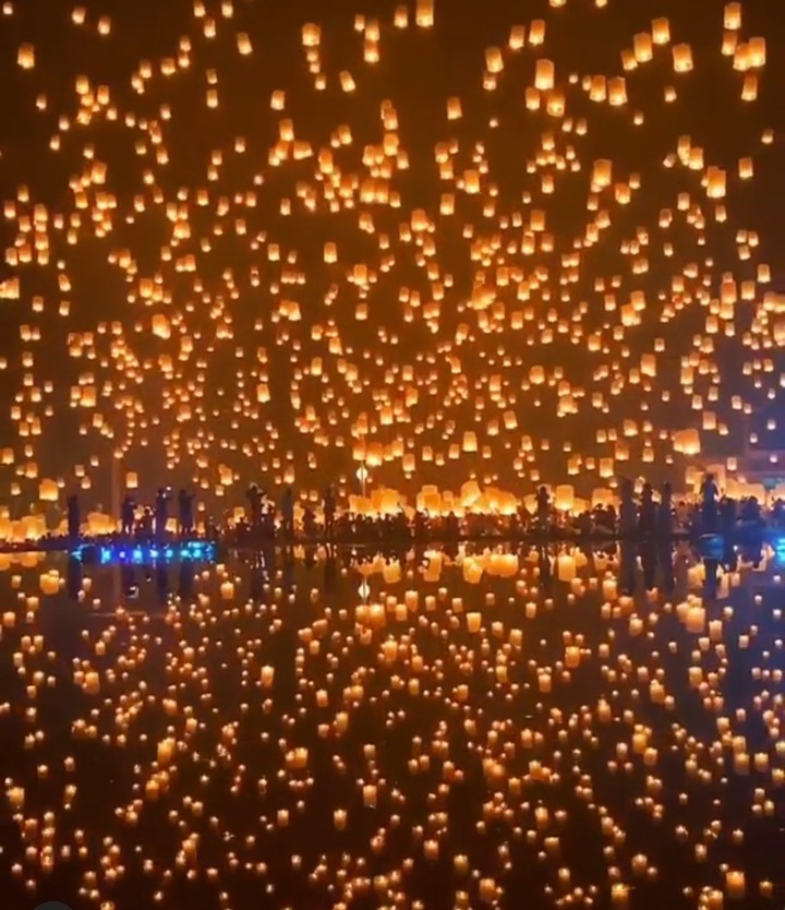 Light Festival