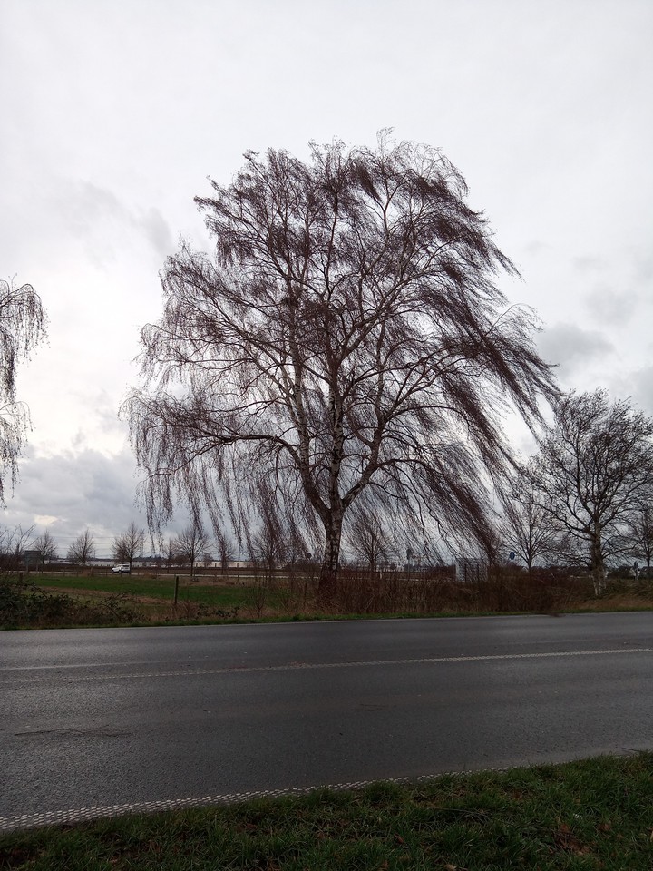 Januar