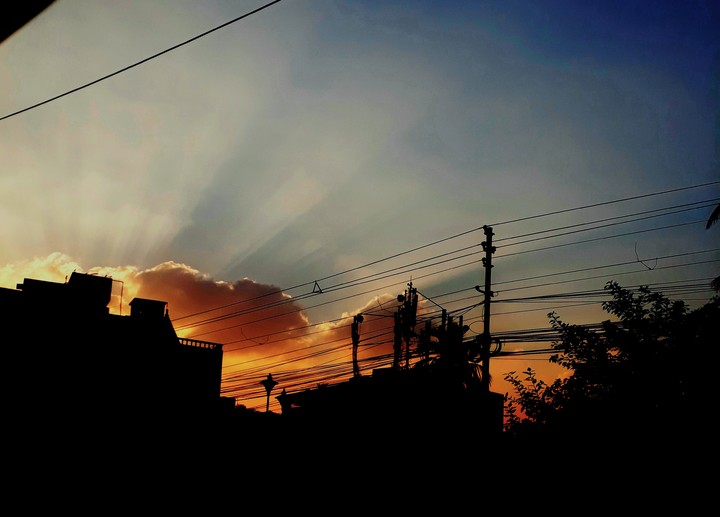 Sunlight affect