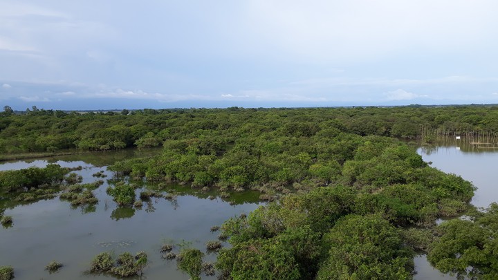 Kalenga