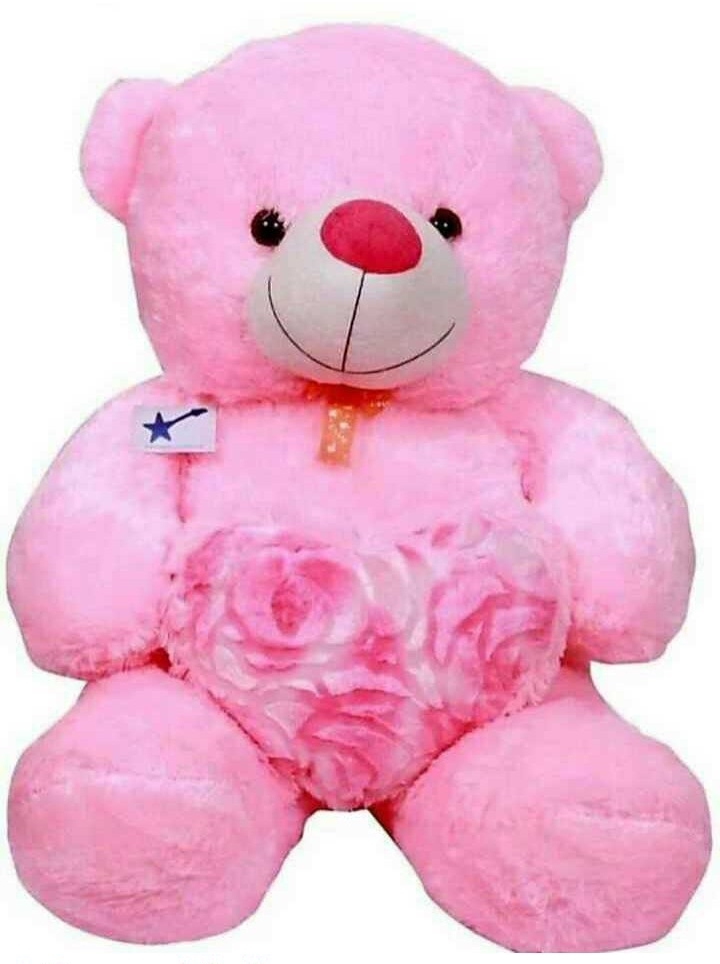 Pink teddy