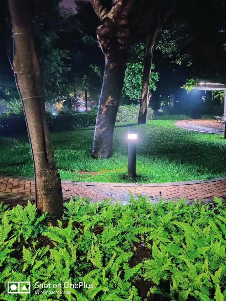 enlightened path