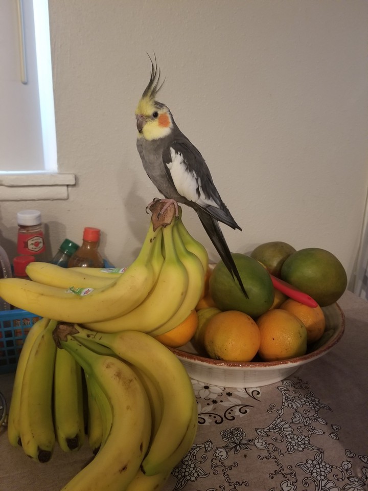 ?