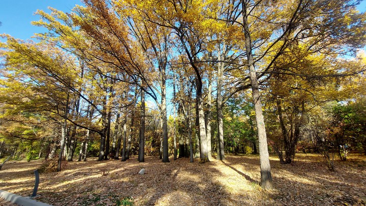 Botanical Garden, Almaty