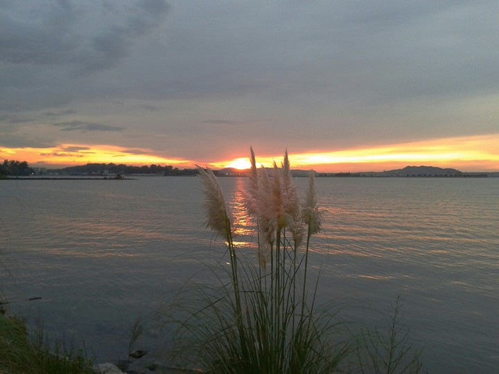 Relax