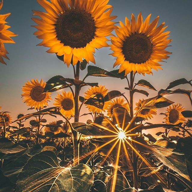 □■□■