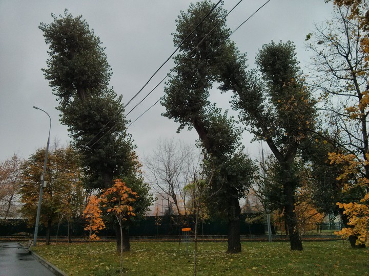 favourite park
