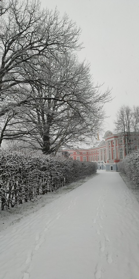 winter