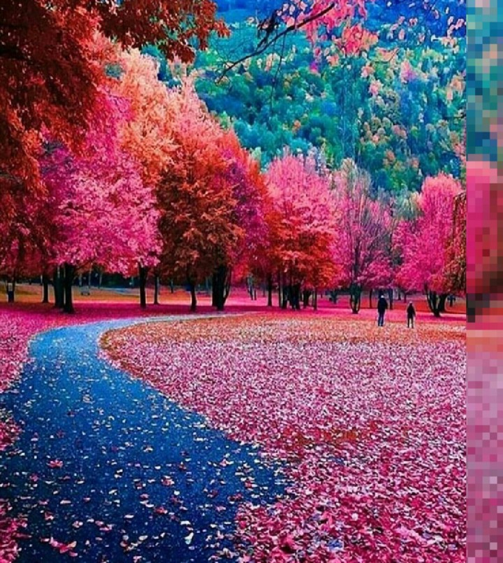 Primavera