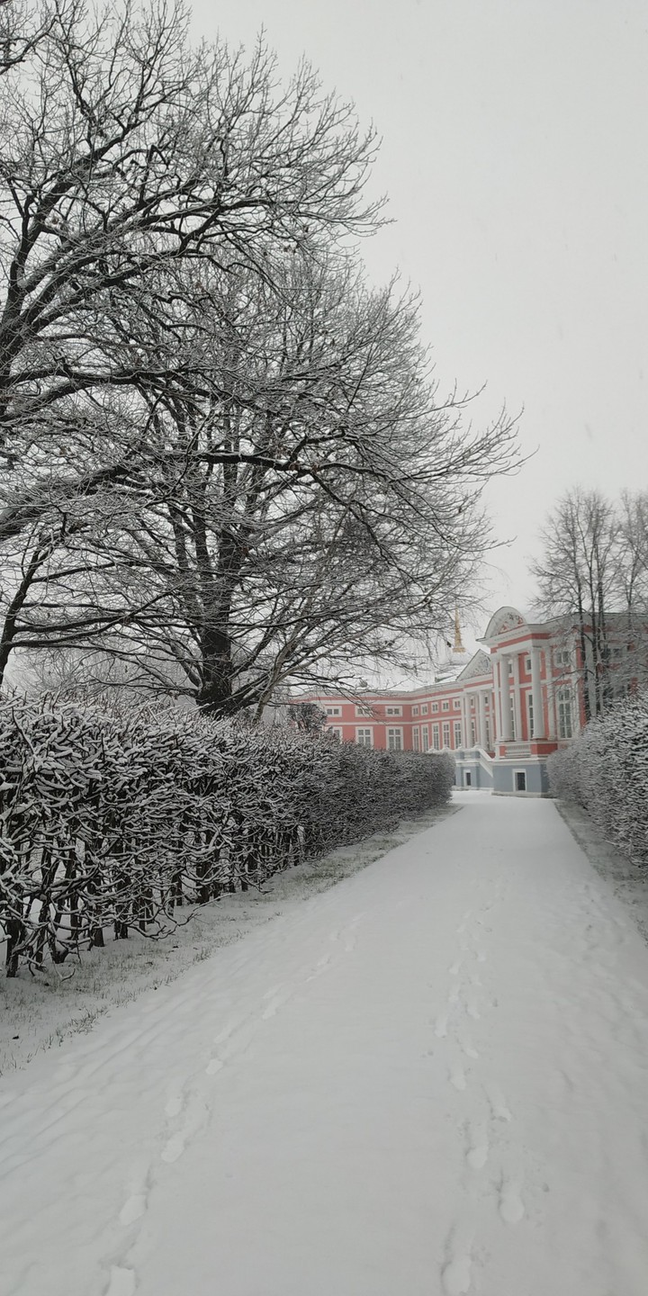 winter