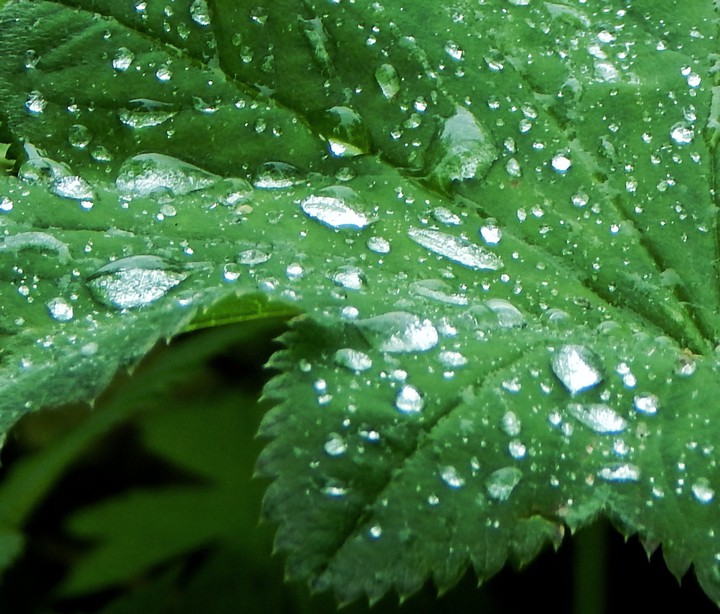 Water