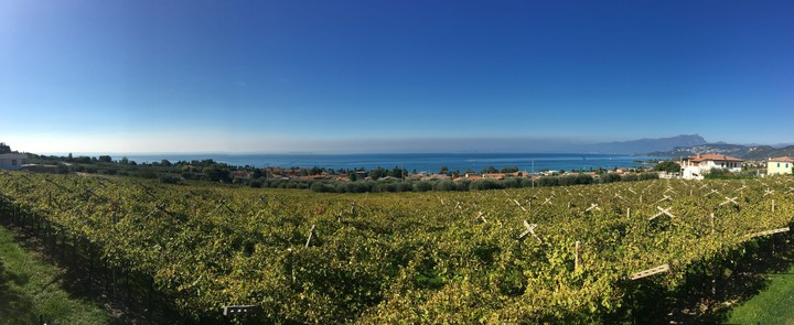 Bardolino