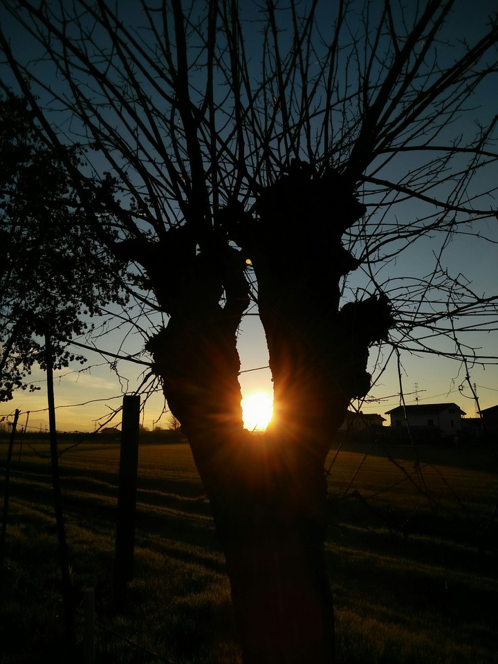 december sunset