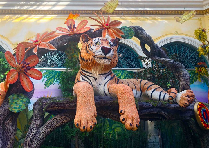 Tigre de flores