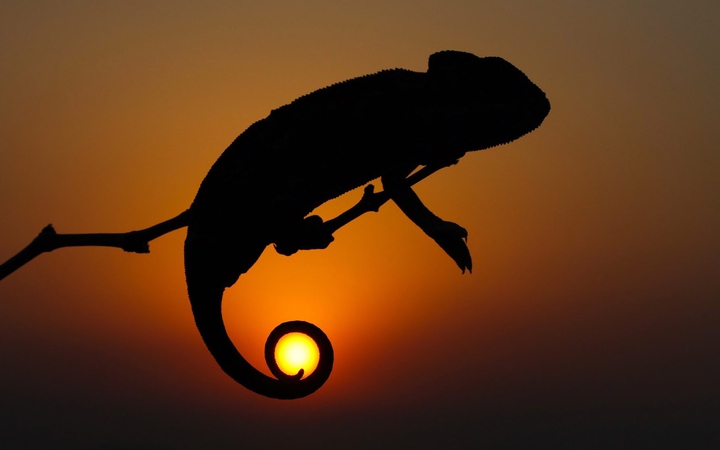 perfect timing